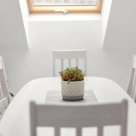 Lejlighed Luxurious Basilica In Old Town By Urban Rent