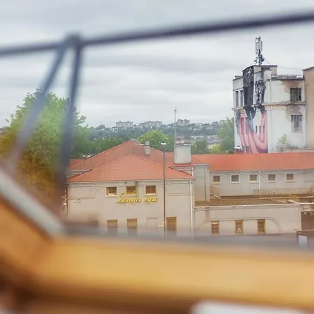 Luxurious Basilica In Old Town * 考纳斯